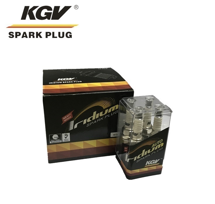 Iridium Spark Plug EIX-BKR6-11 for BYD M6