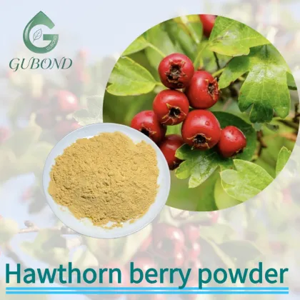Hawthorn Spray Dried Fruit Powder