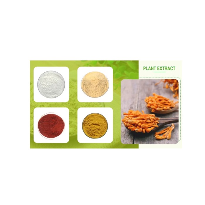 Perilla Alcohol 95% - High-Purity Plant Extract