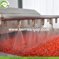 Superfood gedroogd Las Bayas De Goji