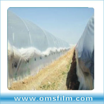 Super manufacturer for greenhouse covering films