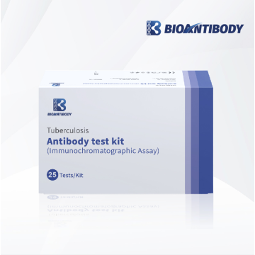 Kit de test d&#39;anticorps de tuberculose premium