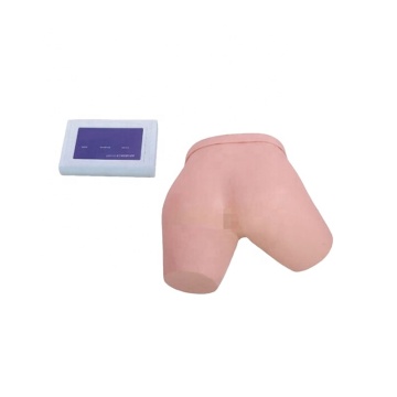 DARHMMY Electronic Enema Operation Training Model for Medical Nursing