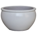 Bowl Shape Ceramic Garden Pot