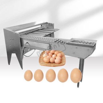 Egg Sorter and Grader Machine - 10000 Eggs/hr Capacity