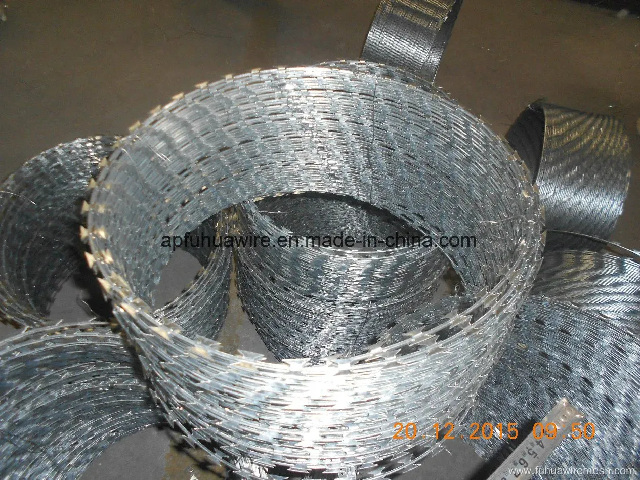 Galvanized Razor Wire for Security Fencing