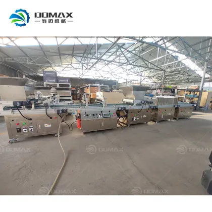 Pneumatic Seed Sowing Semi-automatic Nursery Seedling Machine