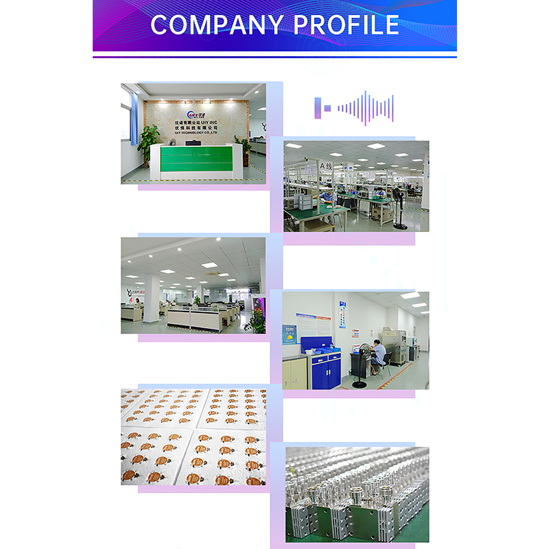 Company