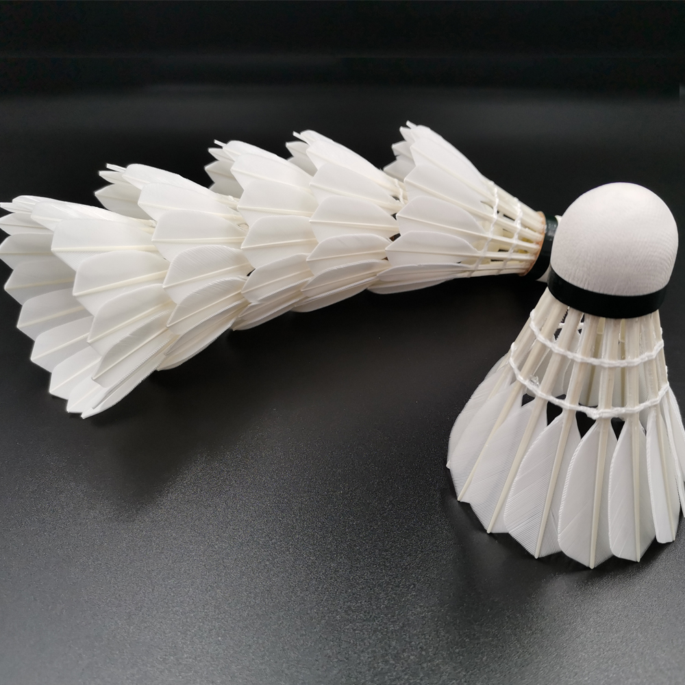 Outdoor Amateur Training Delicate Badminton