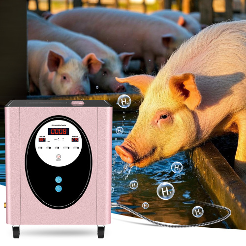 SPE Hydrogen Rich Water Generator for Bath