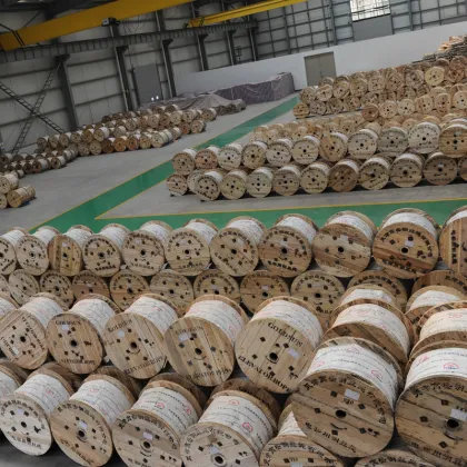 Original Goldsun Elevator Stainless Steel Wire Rope for Toshiba, Hitachi, ThyssenKrupp, Oti Elevators - AAA712AM1 AAA712AM6