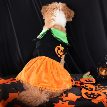 Comical Pet Costumes for Dog and Cat Holidays