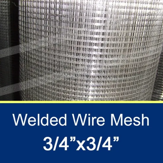 1.2mmx3/4"x3/4" Stainless Steel Architectural Mesh