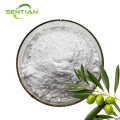 Organic Olive Extract for Health Benefits