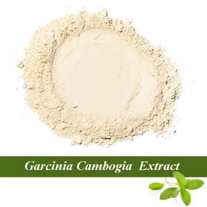 Wholesale garcinia cambogia extract powder