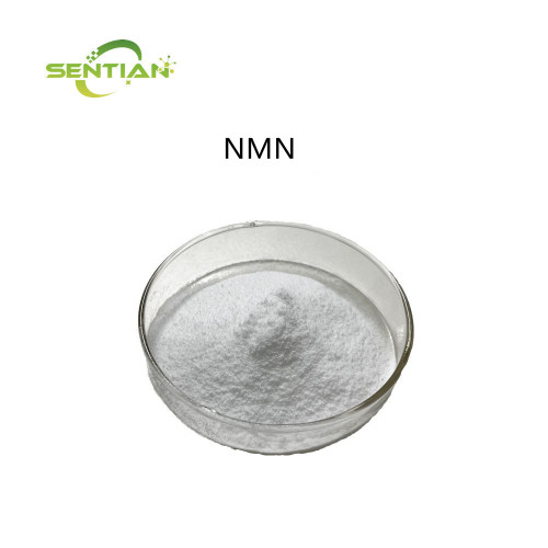 NMN Powder β-Nicotinamide Mononucleotide Bulk Manufacturer