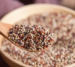 Nutritious tri-color quinoa rice
