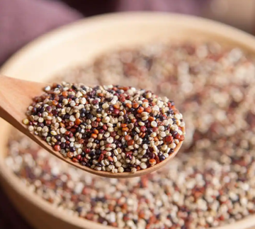 Nutritivo arroz de quinua tricolor