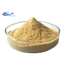 Natural gingerol 5% ginger root extract ginger