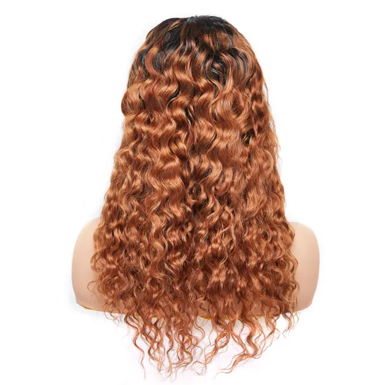 Wholesale 150 Density Ombre 30 Color Peruvian Water Wave Human Hair Lace Frontal Wig