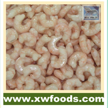 shrimp exporters