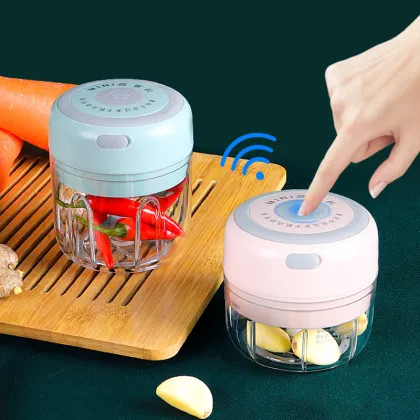 Gloway Mini USB Electric Kitchen Gadget - Onion Crusher, Garlic Mincer, Meat Cutter, Food Chopper for Fruits and Vegetables (100ml/250ml)