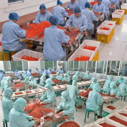 Conventional Sweet Dried Goji Berries With Different Size