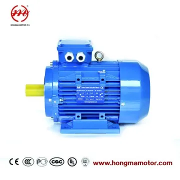 Ie3 Premium Efficiency Asynchronous Electric Motor