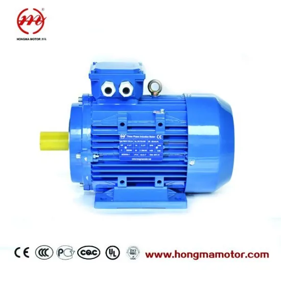 Ie3 Premium Efficiency Asynchronous Electric Motor