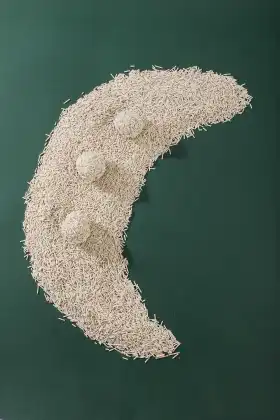 Extra-Large 10kg Tofu Cat Litter