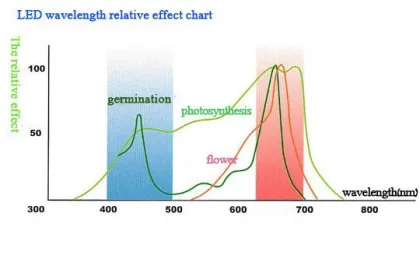 Hydroponics Vegetables Led Grow Lamps