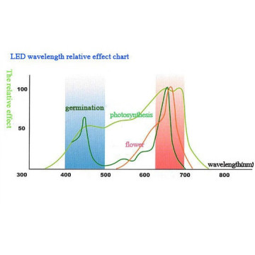 높은 전원 300W LED 식물이 빛을 자랍니다