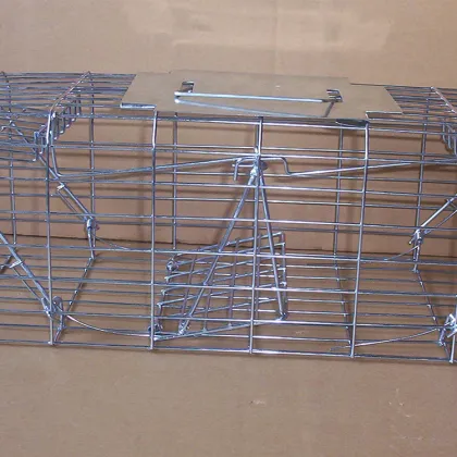 Collapsible Bird Cage Live Coyote Cage Trap