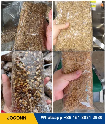 Morel Mushroom Substrate Filling and Packing Machinery