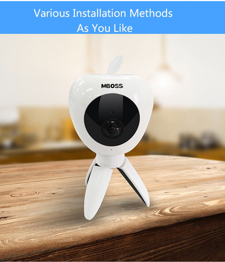 ip wireless camera
