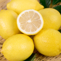 Nova colheita fresca frutas de limão atacado Price