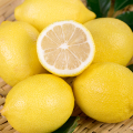 New Crop Fresh Lemon Fruits Price Wholesale