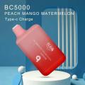 OEM Bang 5000 Puffs Disposable Vape BC5000