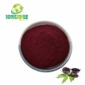 Black Elderberry Extract Anthocyanidin