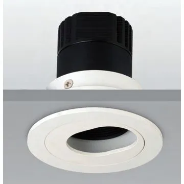 10W LED Downlight COB, Imported LED Chip, Optional Watts