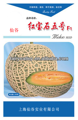 High Yield Japanese Musk Hami Sweet Melon Seeds For Cultivation-Ruby No.5 F1