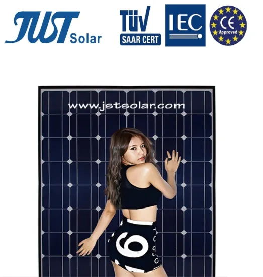 High Quality 50W Solar System with Factory Direct Sales