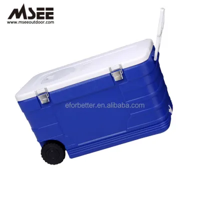 Plastic Eskimo Cooler Box Thailand" could be refined to something more search-engine friendly like:

"Eskimo Plastic Cooler Boxes for Sale in Thailand