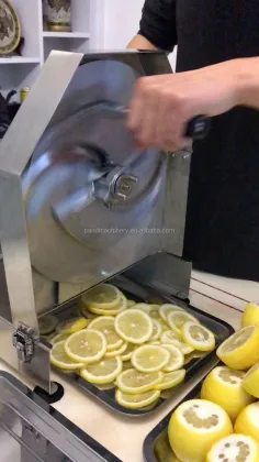 Fruit and Vegetable Cutter: Onion Dicer and Manual Veggie Slicer