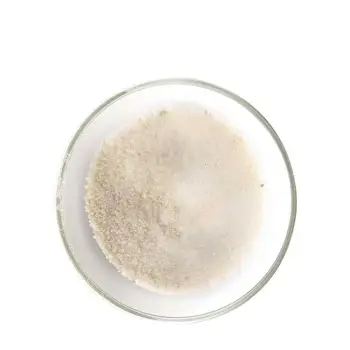 Sodium Gluconate Supplier: White Crystalline Powder for Concrete Set Retarder