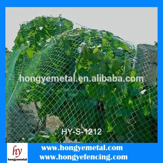 Superior quality fine plastic mesh&rigid plastic wire mesh