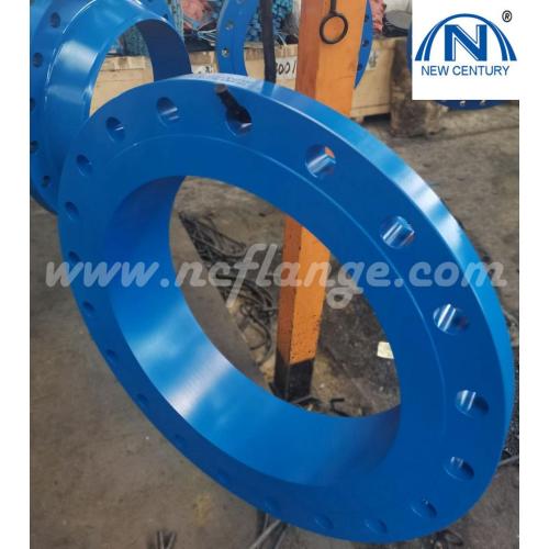 B16.5 300lb Blue Paiting Welding Neck Flanges