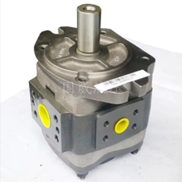 Voith Gear Pump