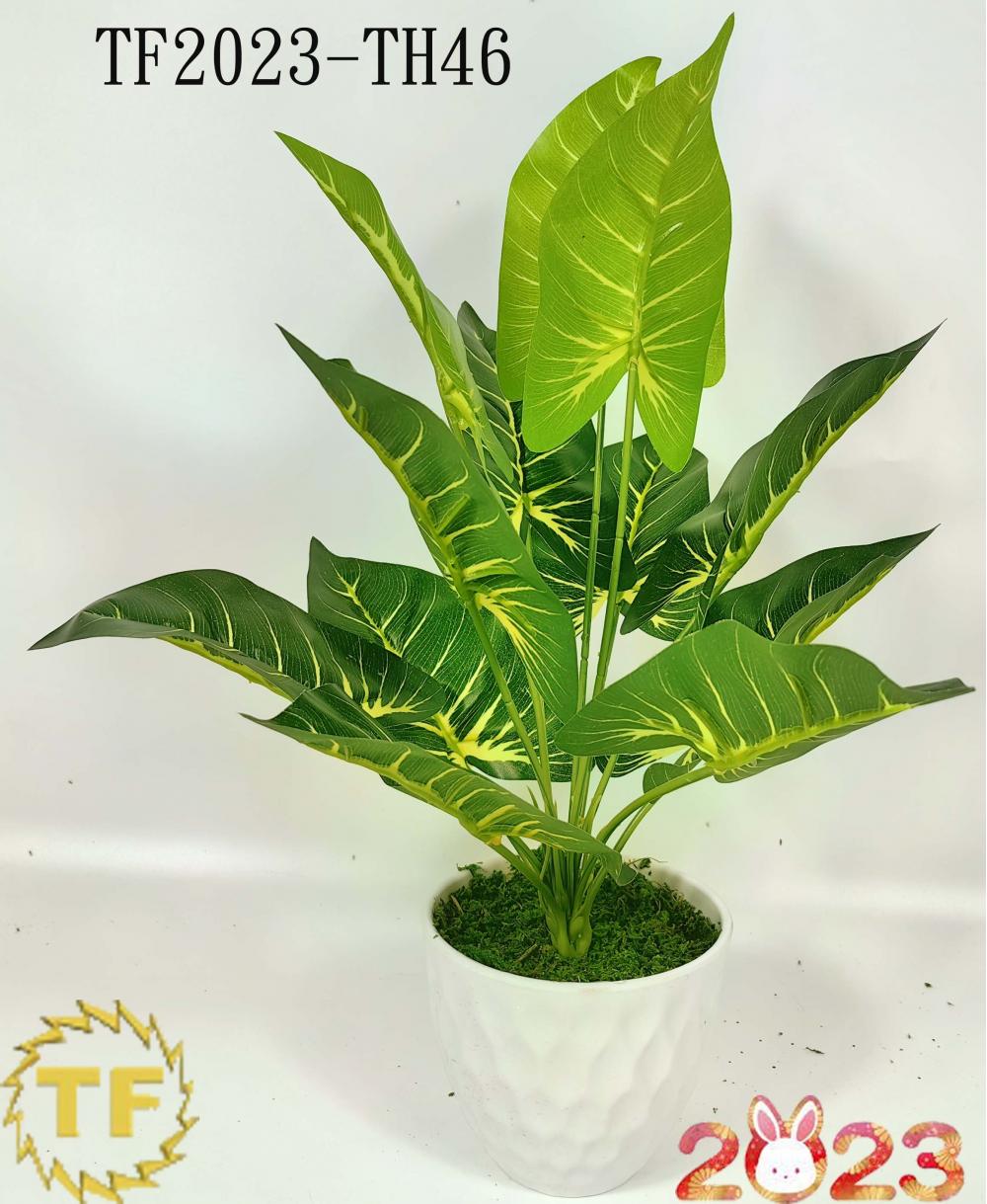 46cm philodendron leaf x 12 with plastic Pot