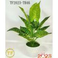 /msite/products/detail/productid/62997413/id/1504288.html